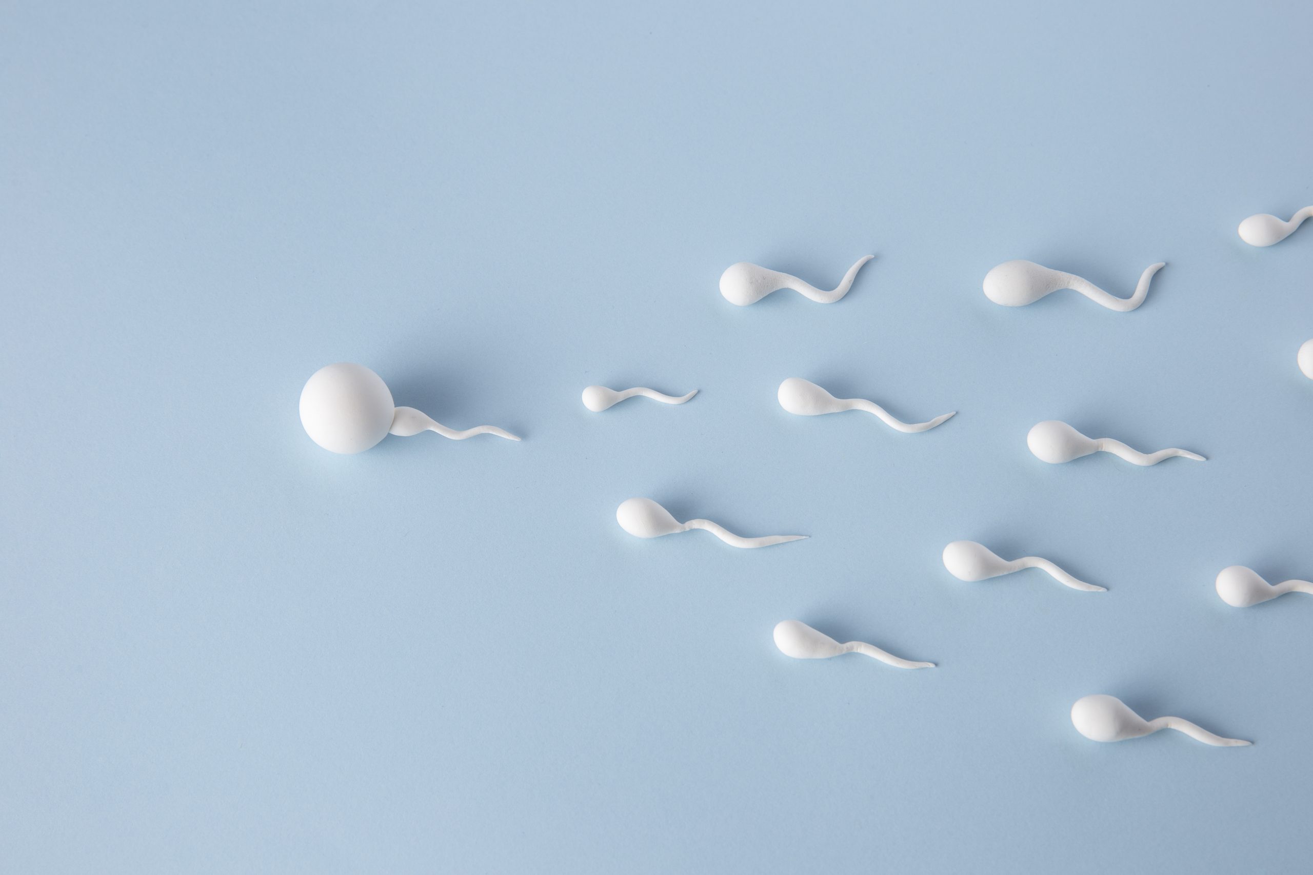 low sperm mlotility, causes, ivf treatmant